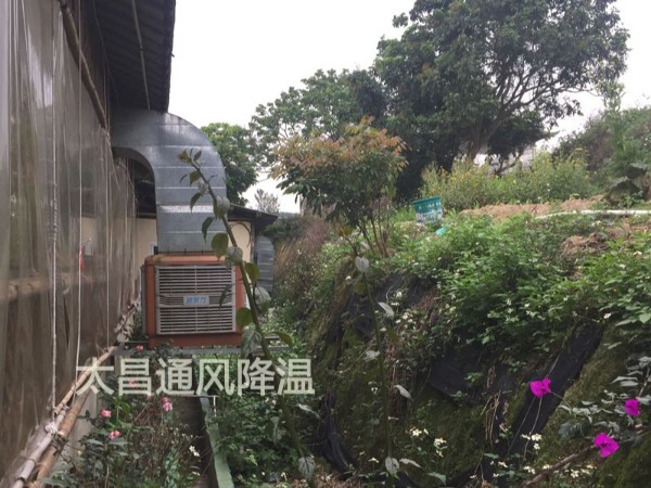 餐廳太熱？環(huán)保空調(diào)為你送清風(fēng)